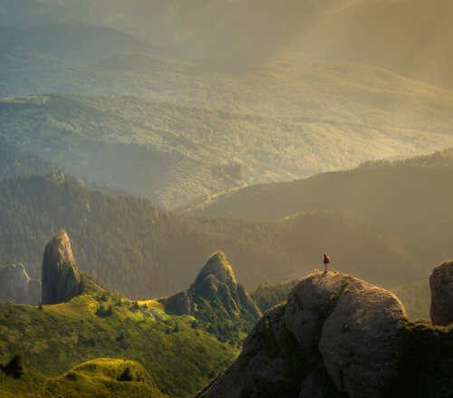 services-01 Services 01