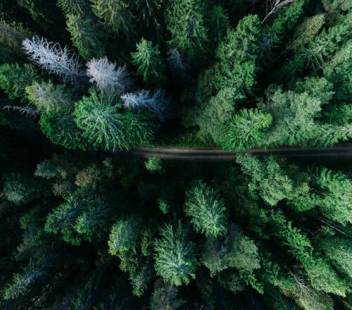 services-02 Services 02